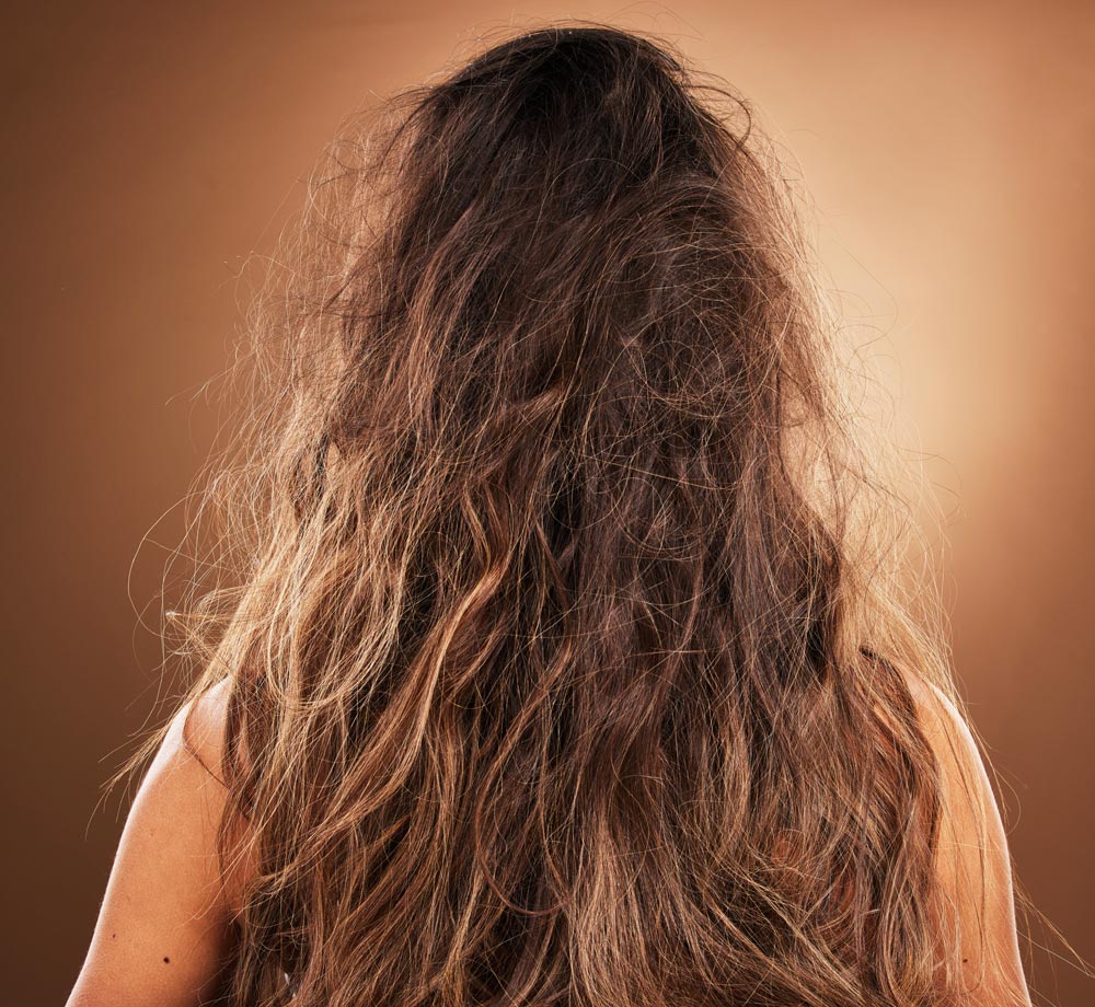 capelli-secchi-sfibrati-thermal-haircare-2