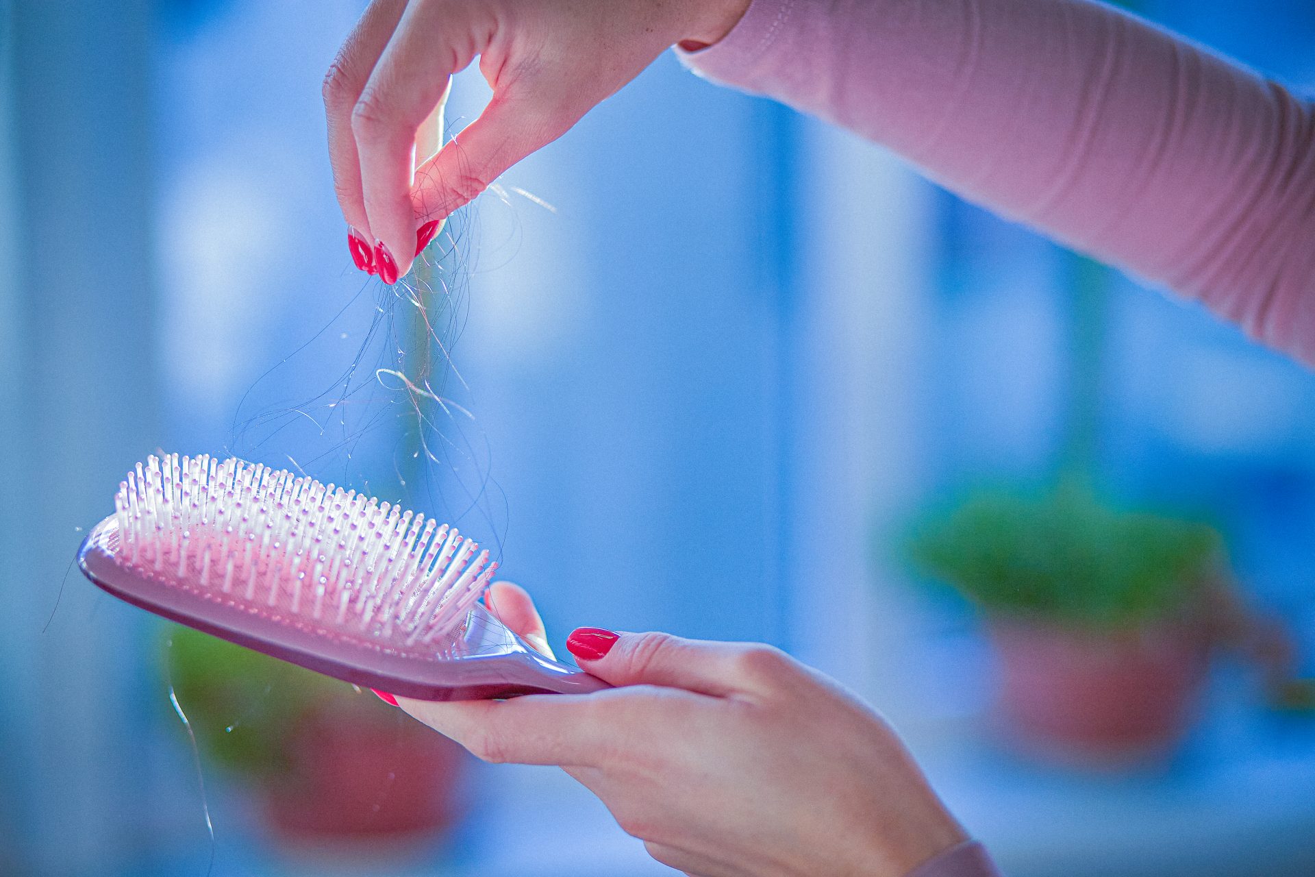 pulizia spazzole capelli legno setole cinghialina